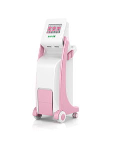 产后康复综合治疗仪 郑州赛福特医疗设备代理加盟 招商代理 东方医疗器械网