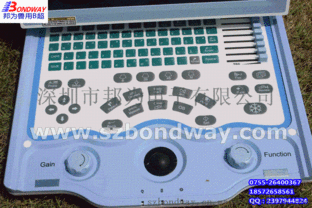 专业兽用B超设备 节能经济型宠物医疗解决方案